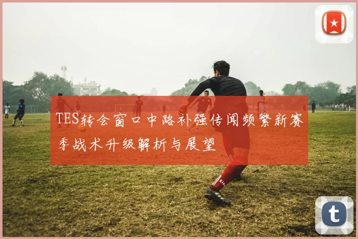 TES转会窗口中路补强传闻频繁新赛季战术升级解析与展望