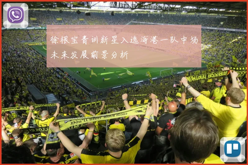 徐根宝青训新星入选海港一队中场未来发展前景分析